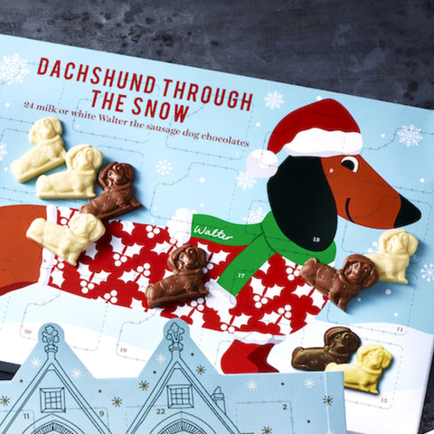 Dachshund Through the Snow Advent Calendar