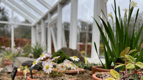 The Greenhouse, The Lost Garden, Montalto Estate