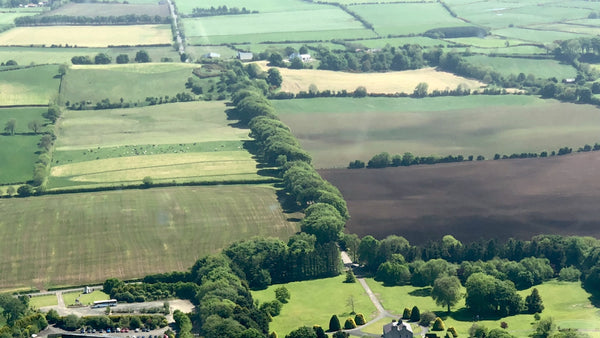 The Dark Hedges Birds Eye view 