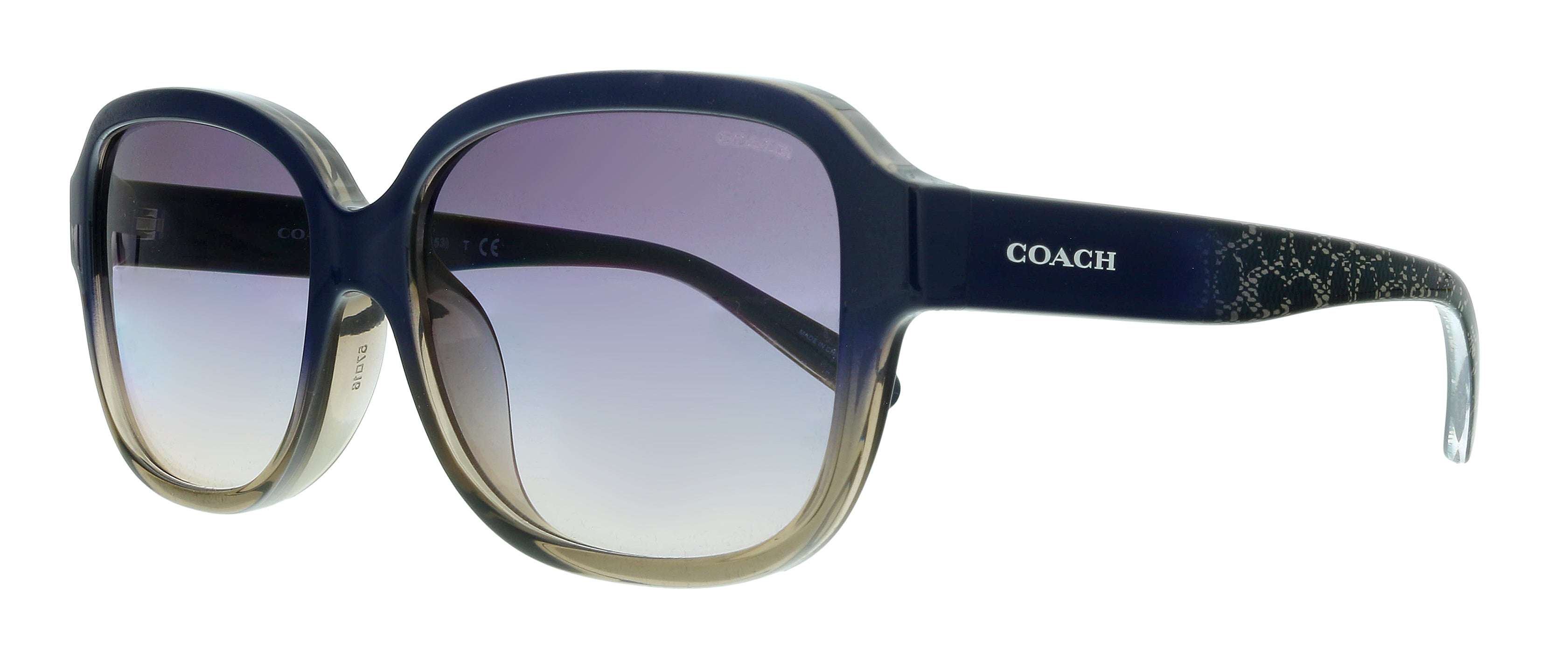 Coach 0HC8298U 562336 Transparent Sand Rectangle Sunglasses for Women –  MyLasso Deals