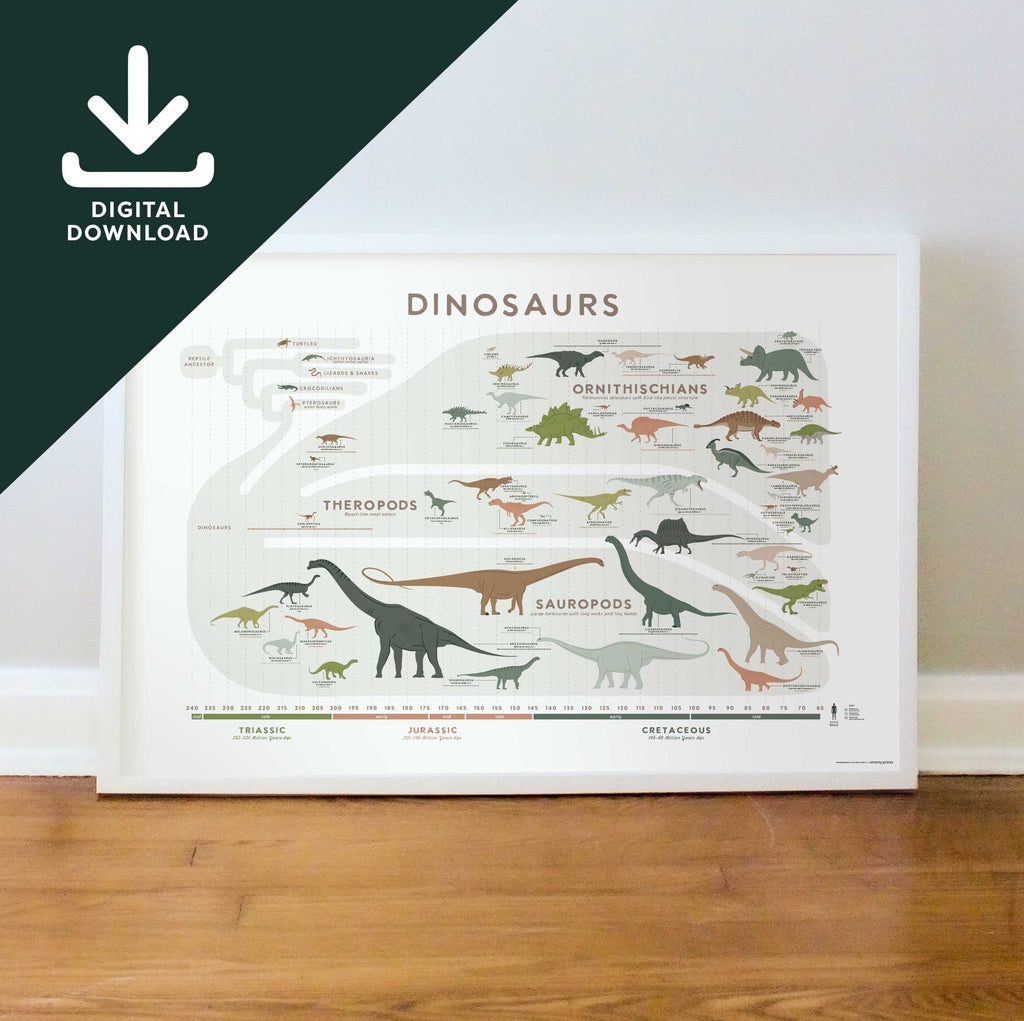 Dinosaur Evolution Educational Chart Reptile Art Wall Room Poster - POSTER  20x30