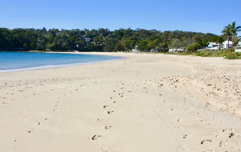 Horderns Beach - Dog Friendly Beach in Sydney NSW