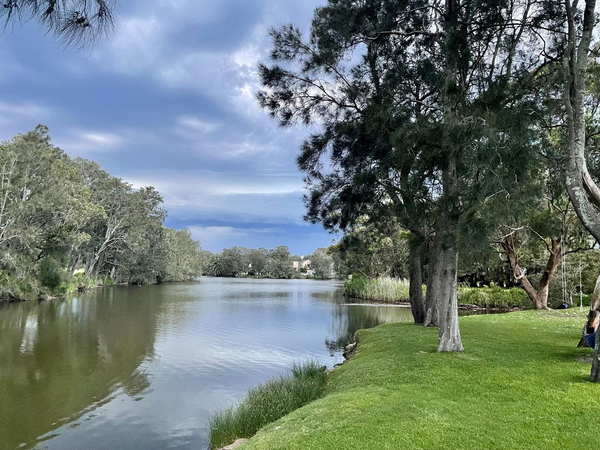 Manly Lagoon Reserve