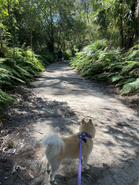 Narrabeen Lagoon State Park