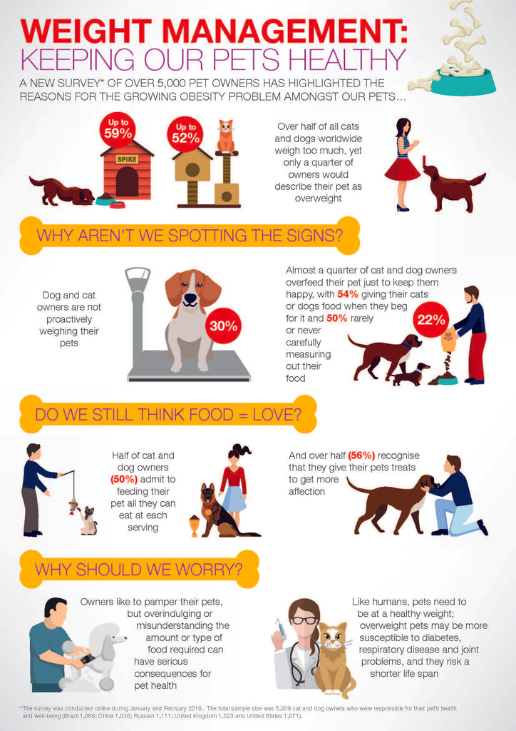 Weight Management Keeping Our Pets Healthy Infographic