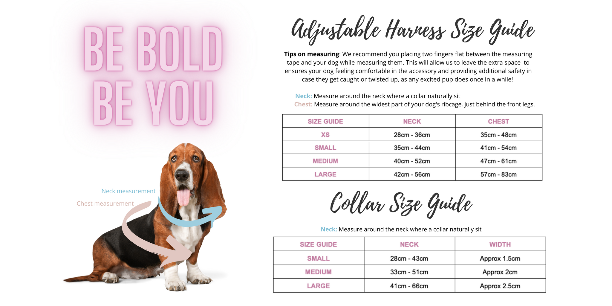 sizing guide for harness and collars