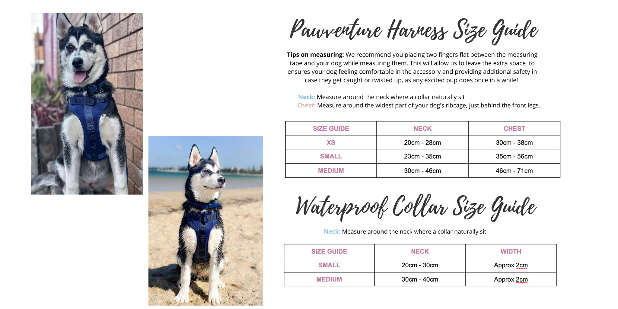 Size Guide for Dog Waterproof Harness and Dog Waterproof Collars