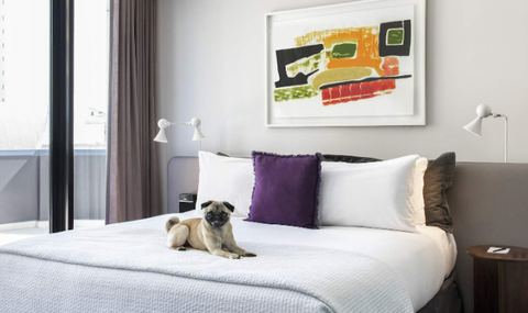 Larmont Sydney - Dog Friendly, Pet friendly hotel