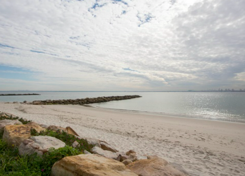 Silver Beach - Dog Friendly Beach in Sydney