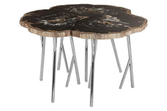 Saint by SoloMiya - NOMAD Relic Coffee Table Petrified Wood