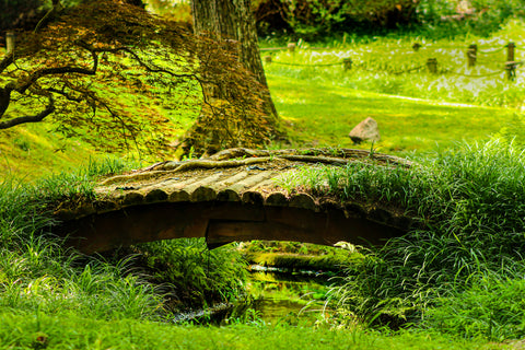 wodden arched bridge over a small pond