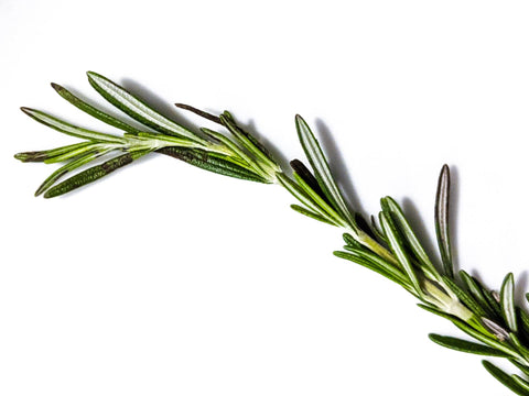 Rosemary Water in Your Hair? TikTok Fact or Fiction? - bokitta blog 