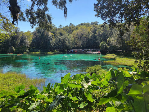 Rainbow Springs State Park, Florida