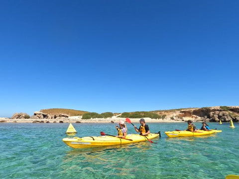 Seal Island Kayak Adventure Perth