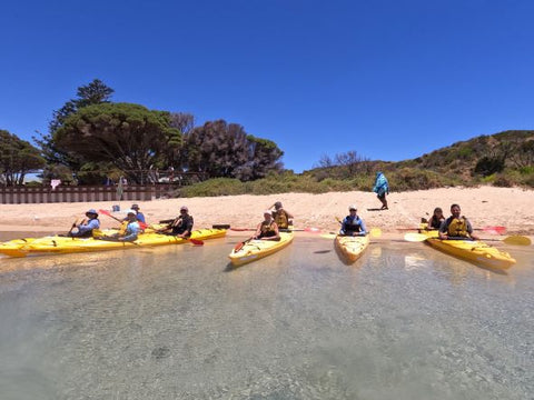 Seal Island Kayak tour Perth