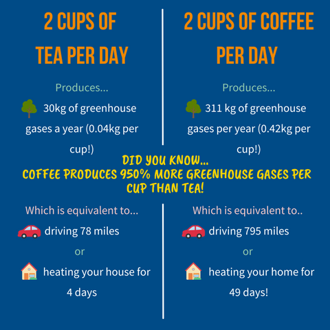 tea verses coffee statistics