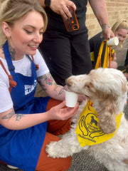 sasha giving crumble a puppuccino at the therapy dogs nationwide charity dog party