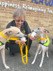 ollie & daisy enjoying puppuccinos at the therapy dogs nationwide charity dog party