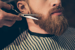 Best Beard Products 