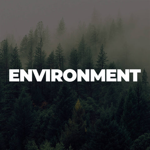 Environment