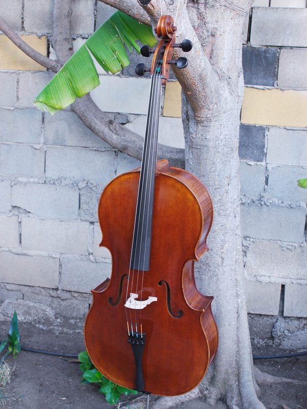 karl knilling cello serial numbers