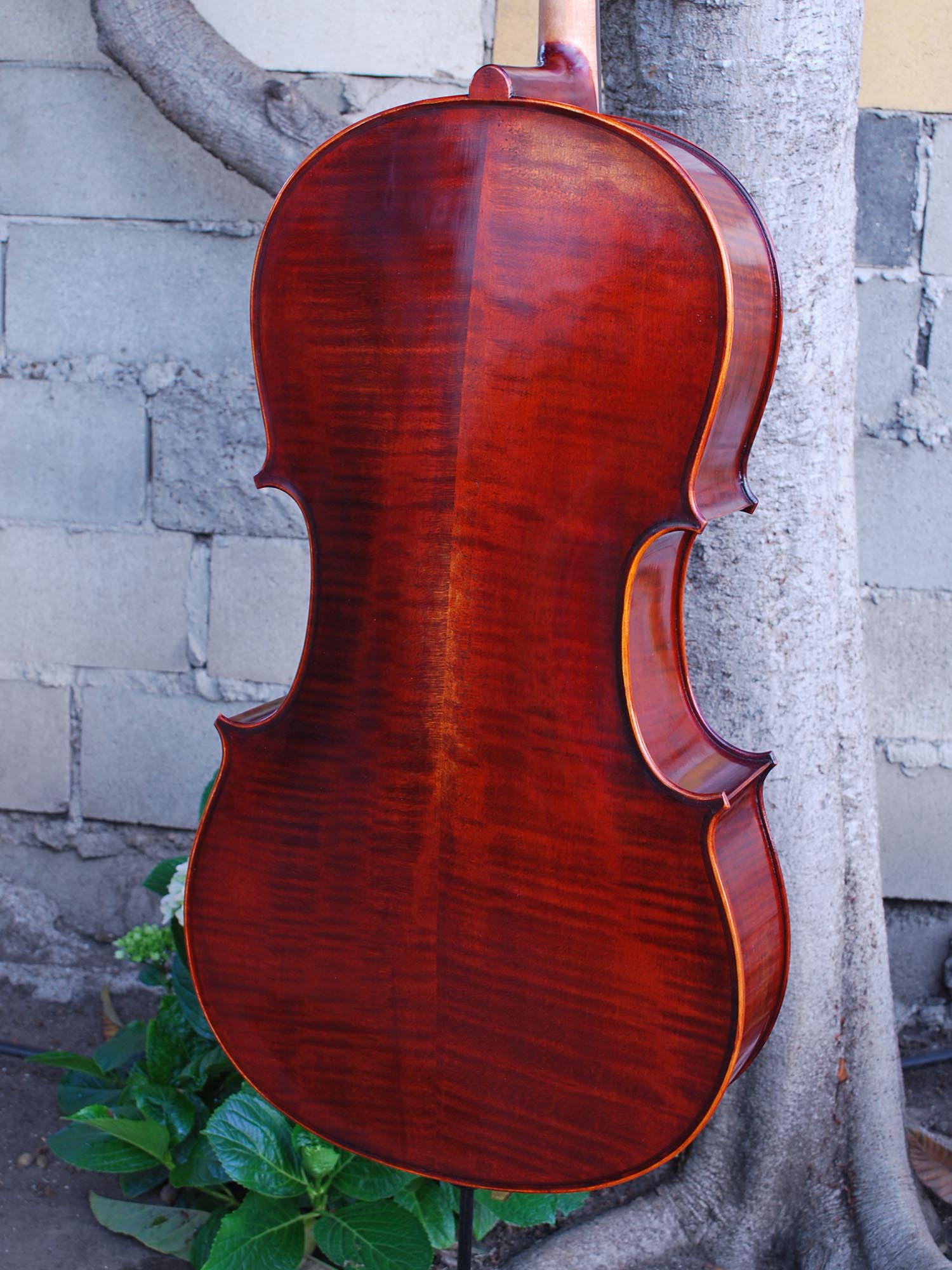 Jean-Pierre Lupot 'Strad' model 501 - 7/8 Cello