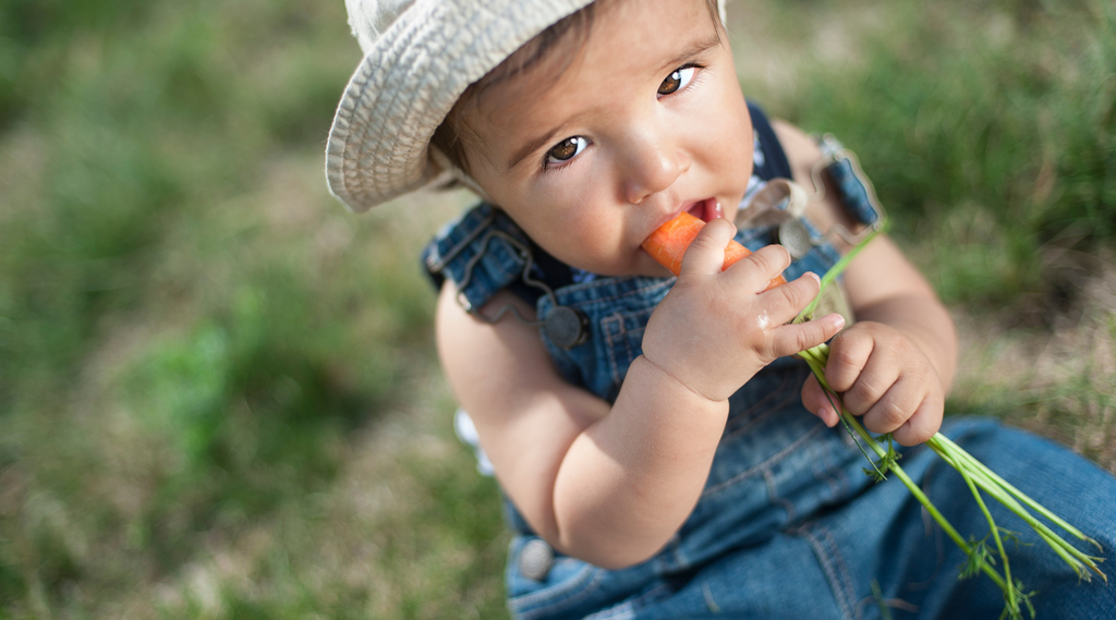 baby eating carrots
