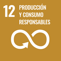 ODS 12 - Producción y consumo responsable - Creadoness