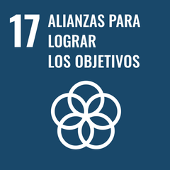 ODS 17 - Alianzas para lograr los objetivos - Creadoness