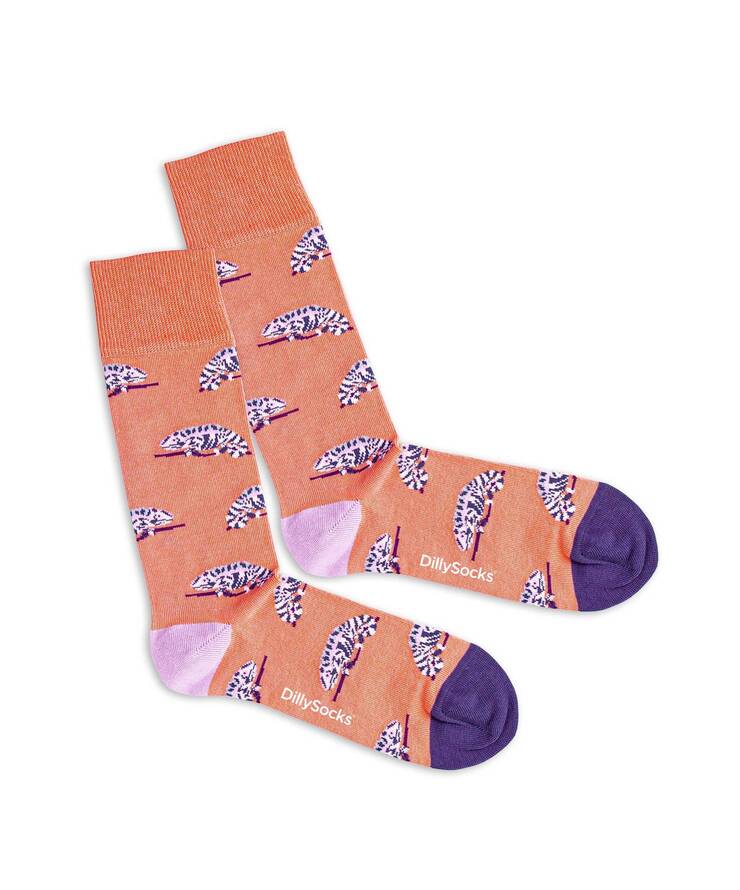 Chaussettes coton biologique - Karmeleon