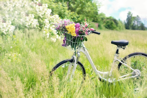 Is it permissible for a woman to ride a bicycle?