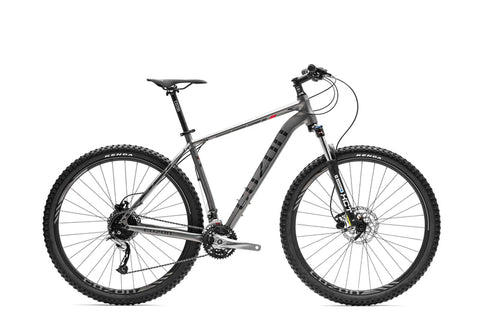 Silver mountain bike