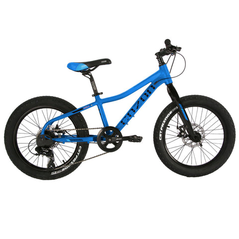 Blue kids bike