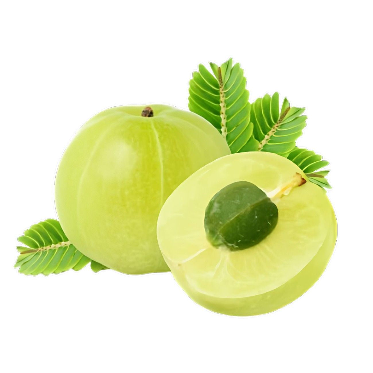 Amla