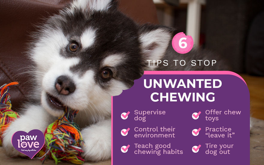 6 tips to stop unwanted chewing