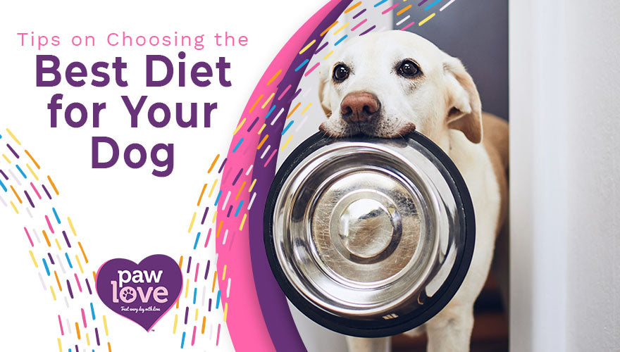 Tips on Choosing the Best Diet for Your Dog