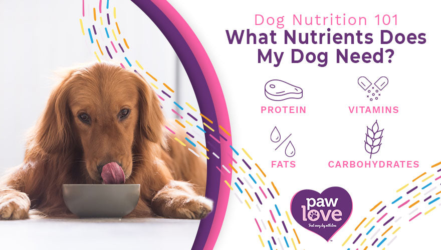 What Nutrients Does My Dog Need