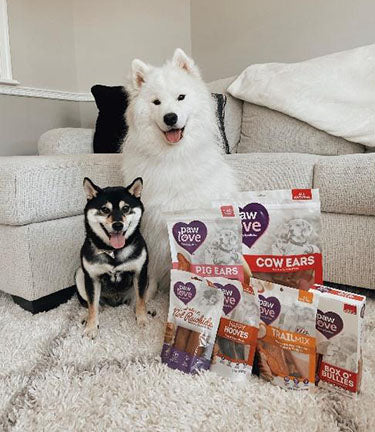 paw love dog treat collection