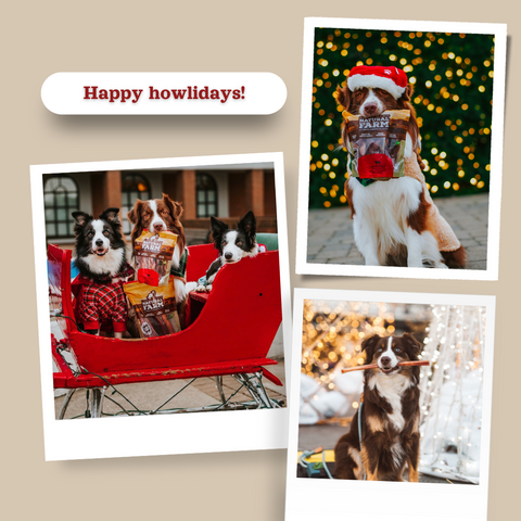 Happy festive dogs enjoy healthy Natural Farm treats to celebrate the season