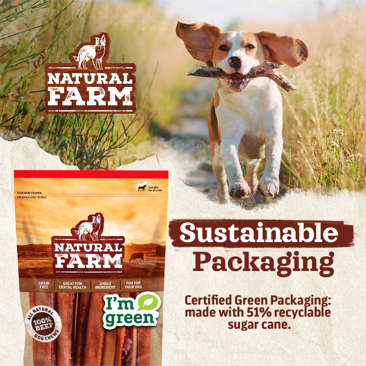 open nature dog food amazon