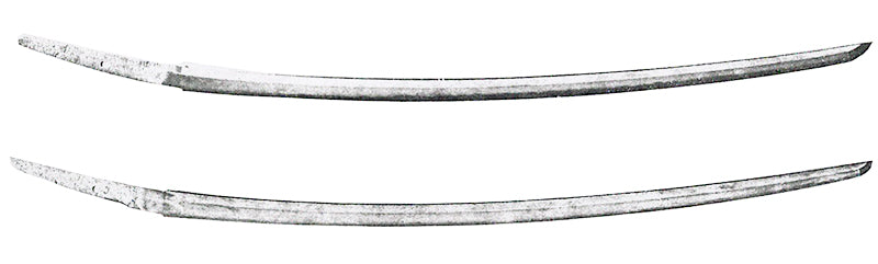 Japanese sword katana appearance: Tachi shape