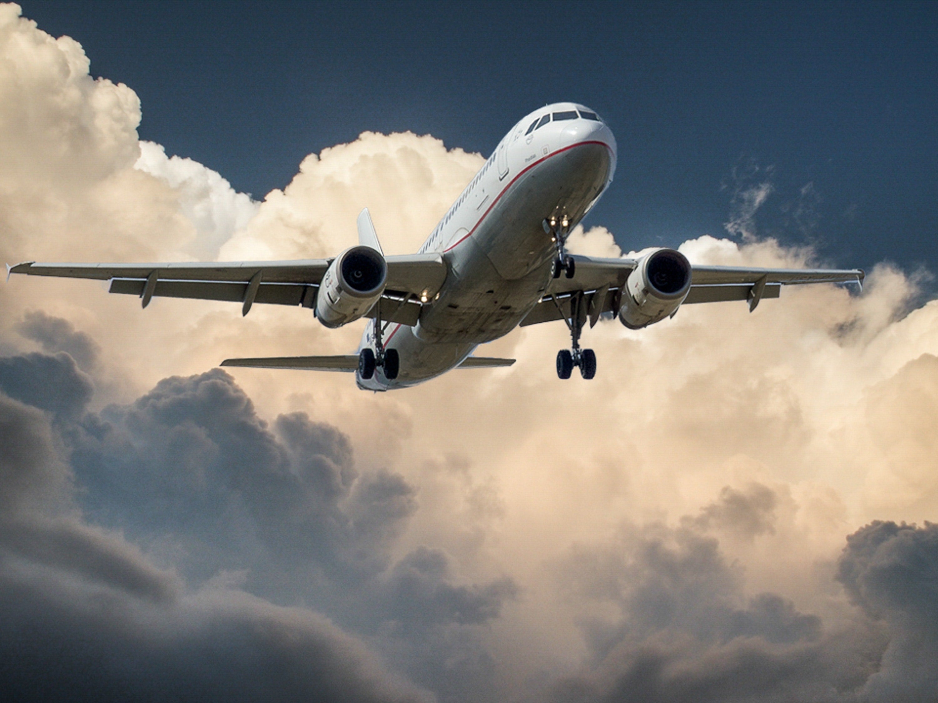 Can you bring hair straighteners on a plane?