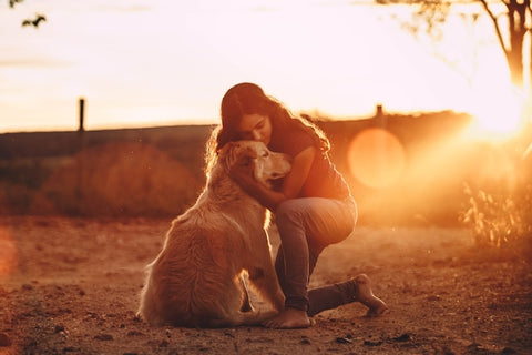 dog hug