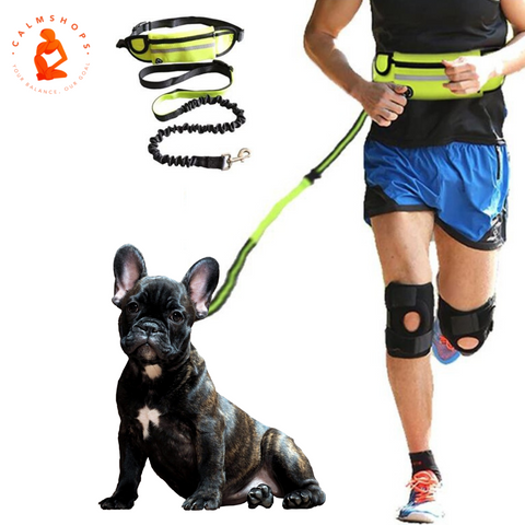 dog lead for running