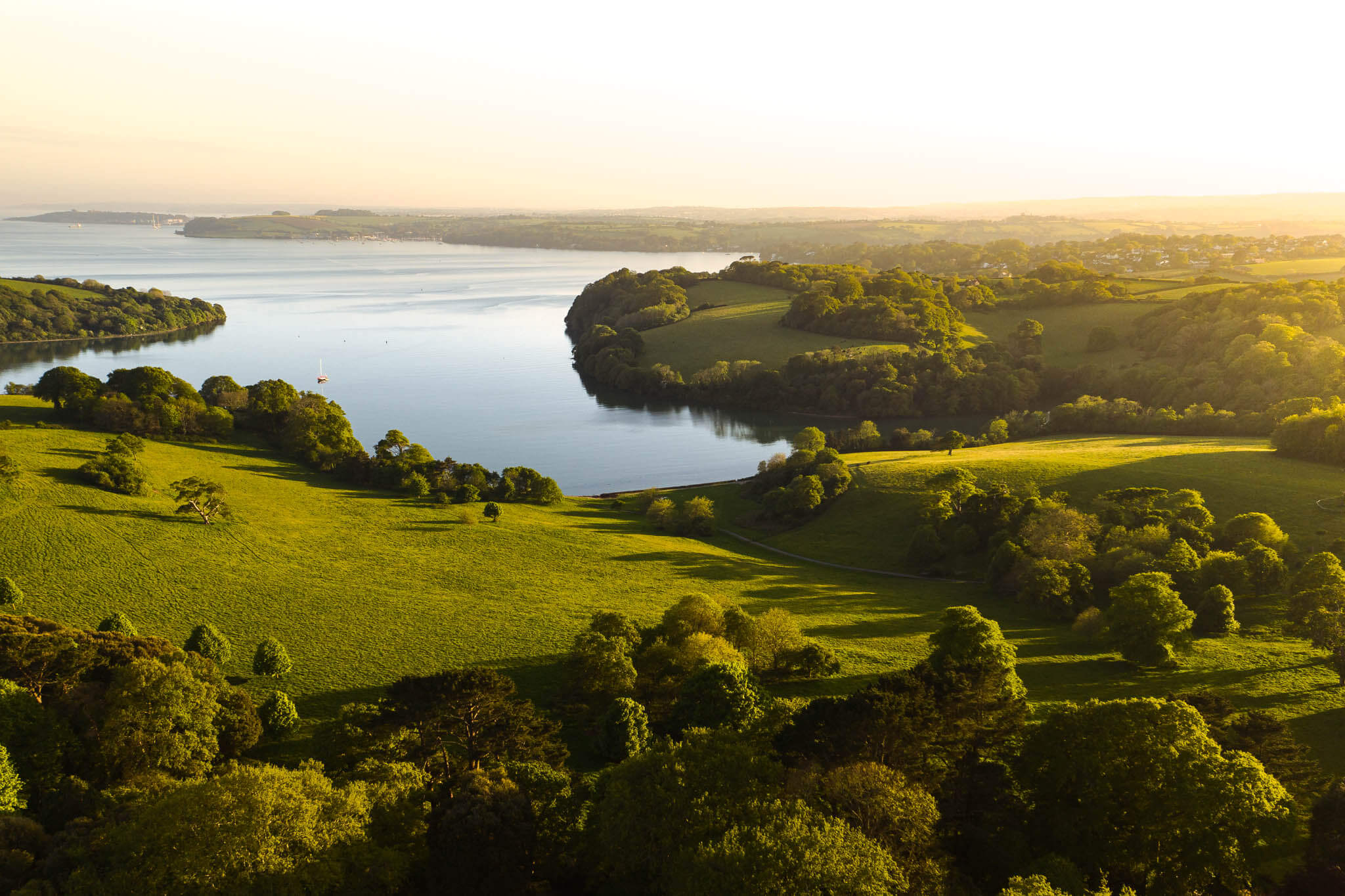 trelissick