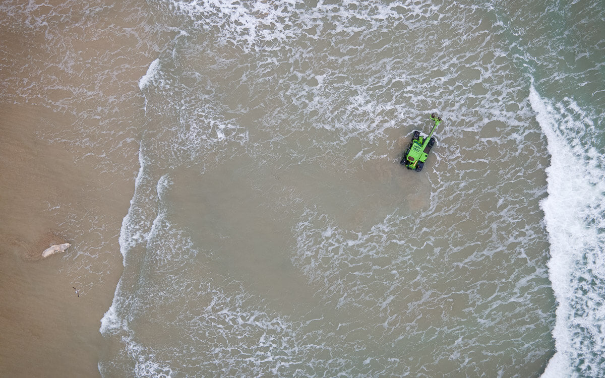 stranded whale perranporth beach