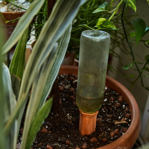 Terracotta Water Spikes, Set of Two Planter Waterer Gentlemen's Hardware