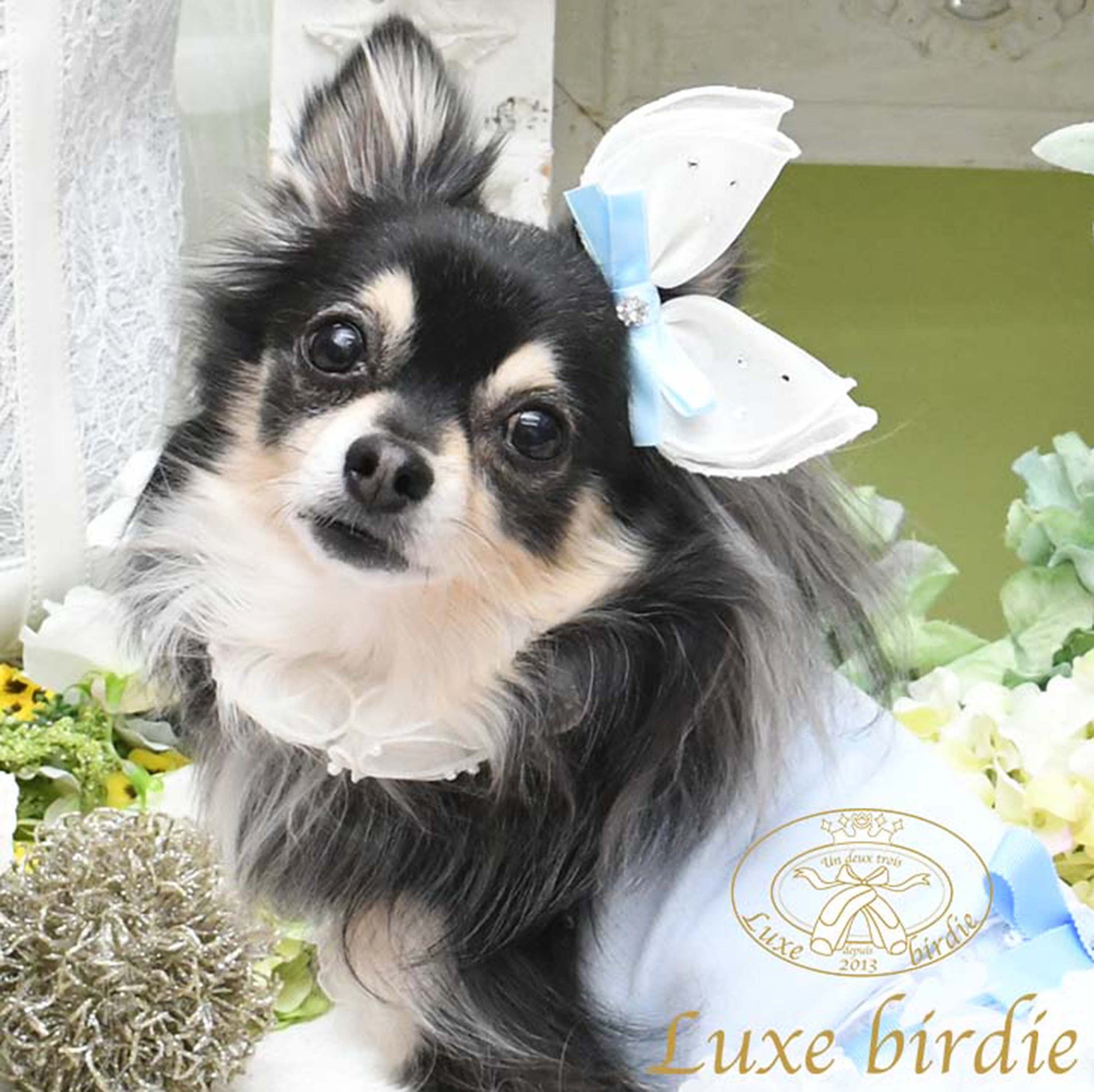 犬の服 春 夏 Luxe birdie ボヌールドレス ピンク リュクスバーディ