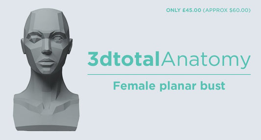 3dtotal Anatomy: female planar figure – 3dtotal shop