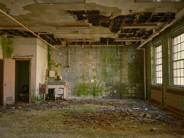 Moss and mold covering a room in the abandoned mental institution 